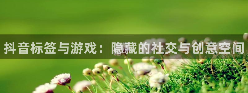 长征娱乐注册开户：抖音标签与游戏：隐藏的社交与创意空间