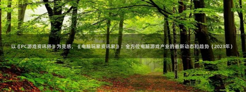 长征娱乐平台：以《PC游戏资讯师》为灵感，《电脑玩家资讯家》