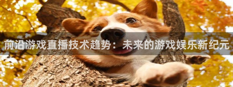 长征娱乐app下载地址：前沿游戏直播技术趋势：未来的游戏娱乐