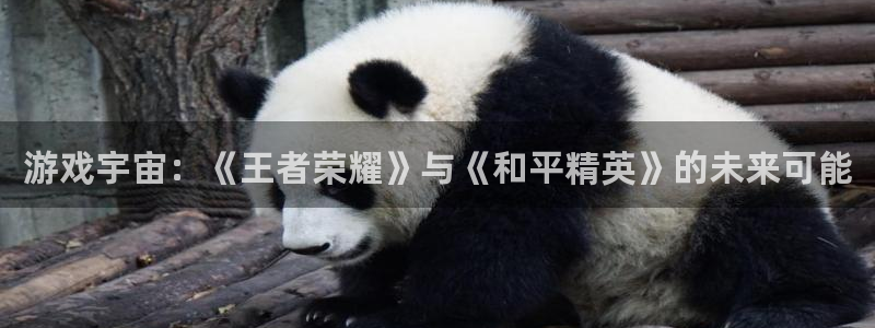 长征娱乐平台登录线路：游戏宇宙：《王者荣耀》与《和平精英》的