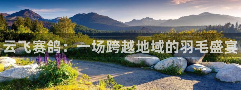 球神体育nba直播