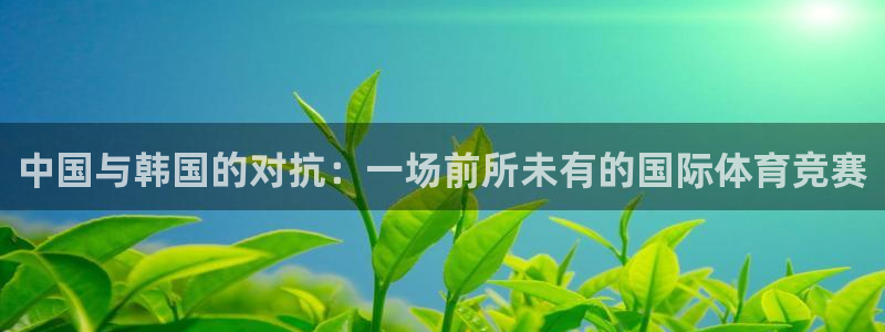 球神直播网免费直播在线观看