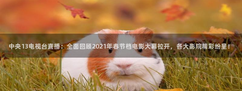 球神直播足球直播在线观看：中央13电视台直播：全面回顾2021年春节档电影大幕拉开，各大影院精彩纷呈！